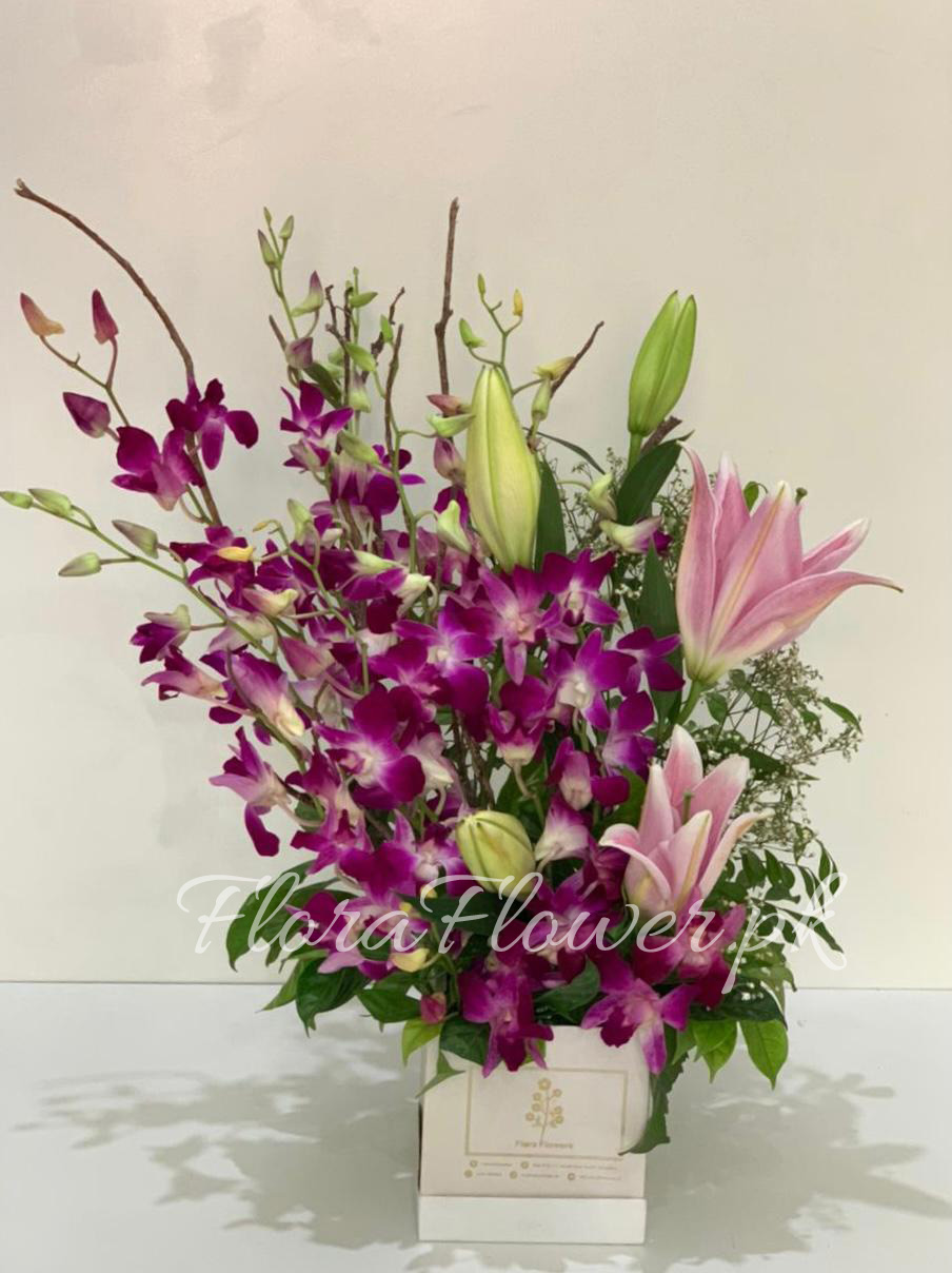 Orchid Sundae - Flora Flowers